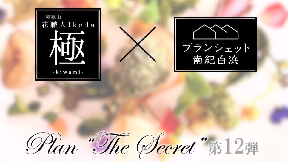Plan "The Secret"～プラン“ザ・シークレット”第12弾"