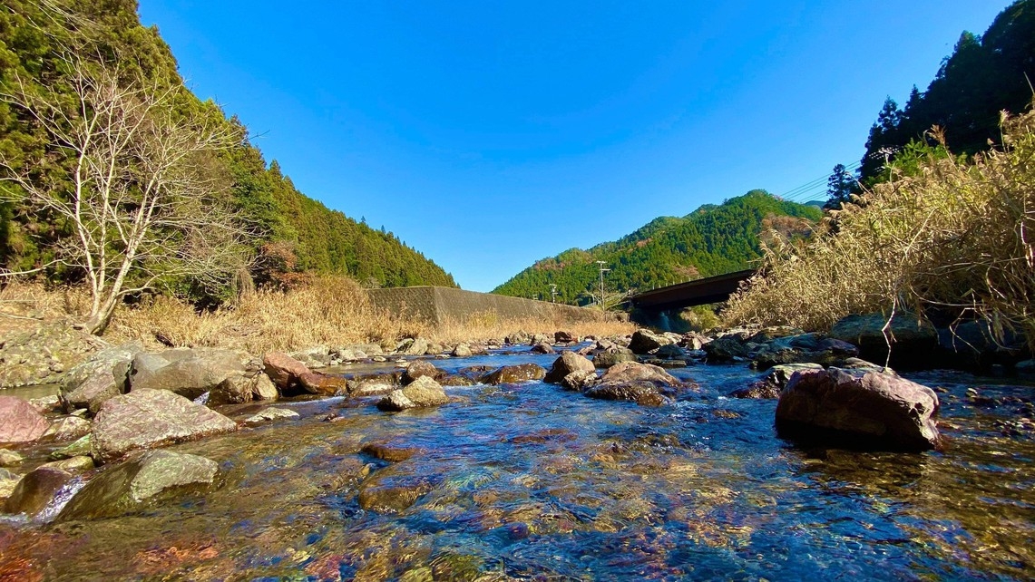 【贅沢ひとり時間】自然にととのう、ソロワーケーション〈素泊り〉