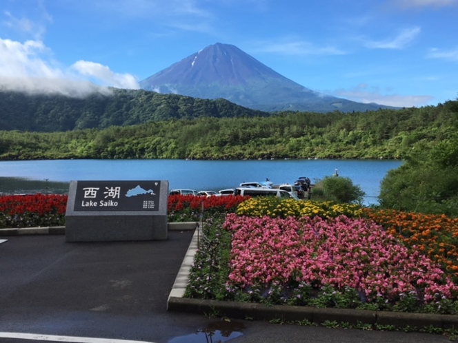 西湖湖畔からの富士