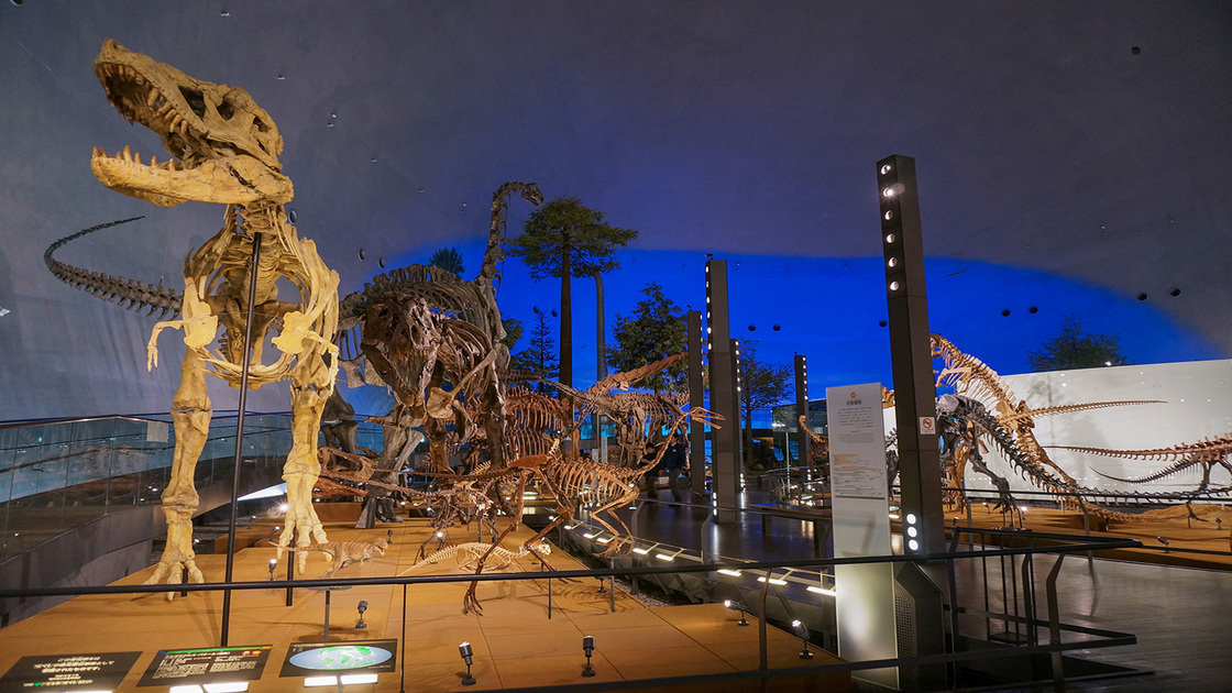 恐竜博物館１階　恐竜の世界