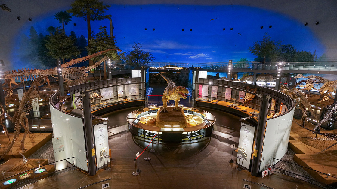 恐竜博物館１階　恐竜の世界