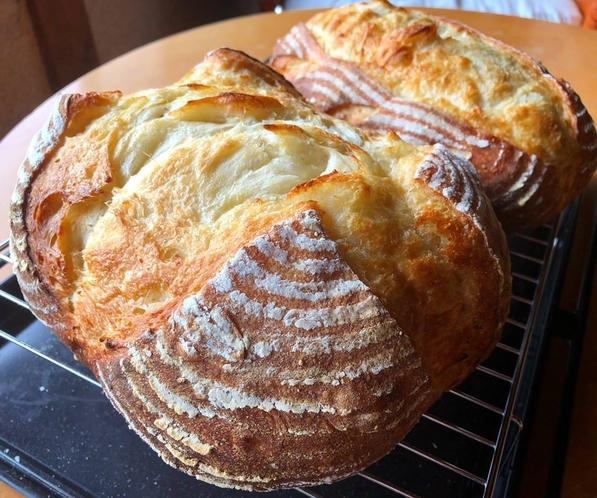 自家製酵母の手作りパン