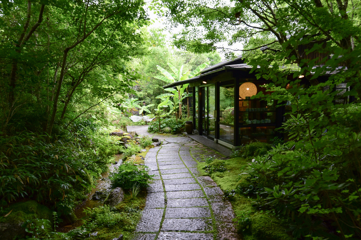 【2食付・湖畔懐石】物部川の湖畔で過ごす贅沢なひと時。夕食は土佐あかうしに舌鼓（客室露天）