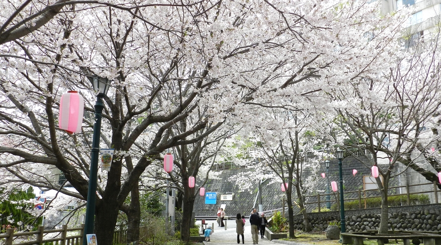 熱川　桜坂公園