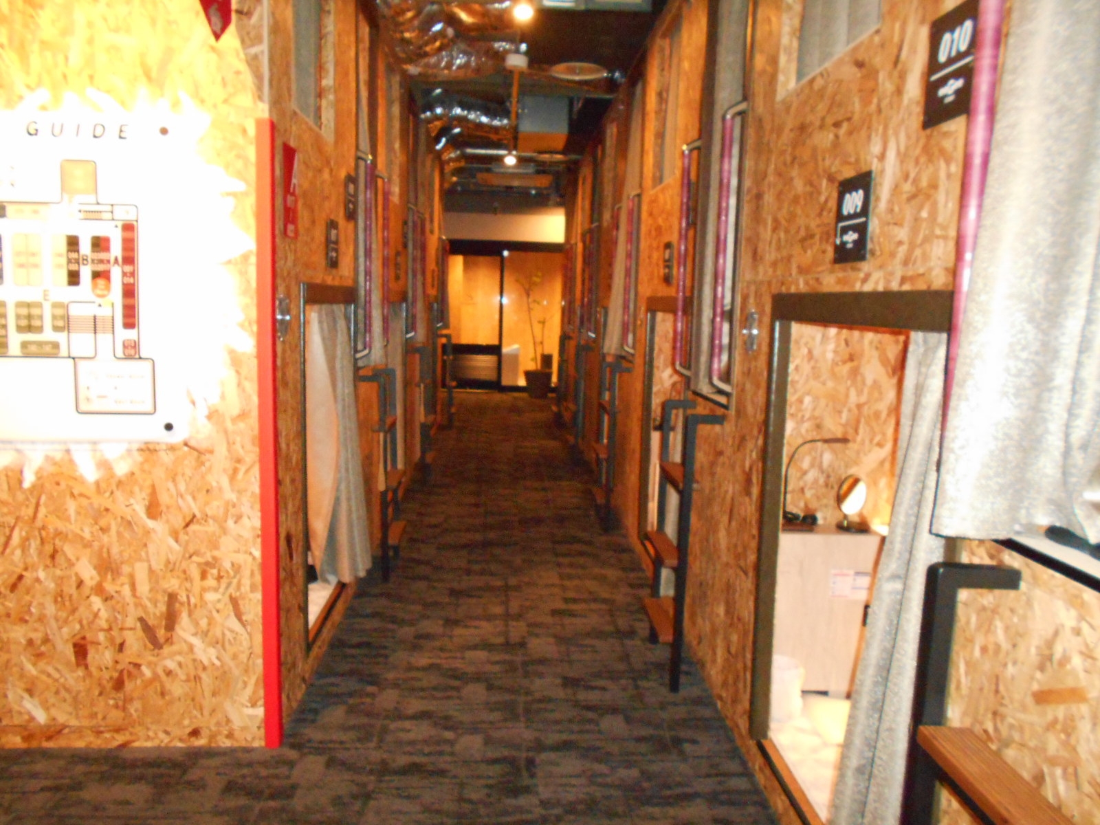 【女性スタンダード】カレー・ドリンク食べ飲み放題♪