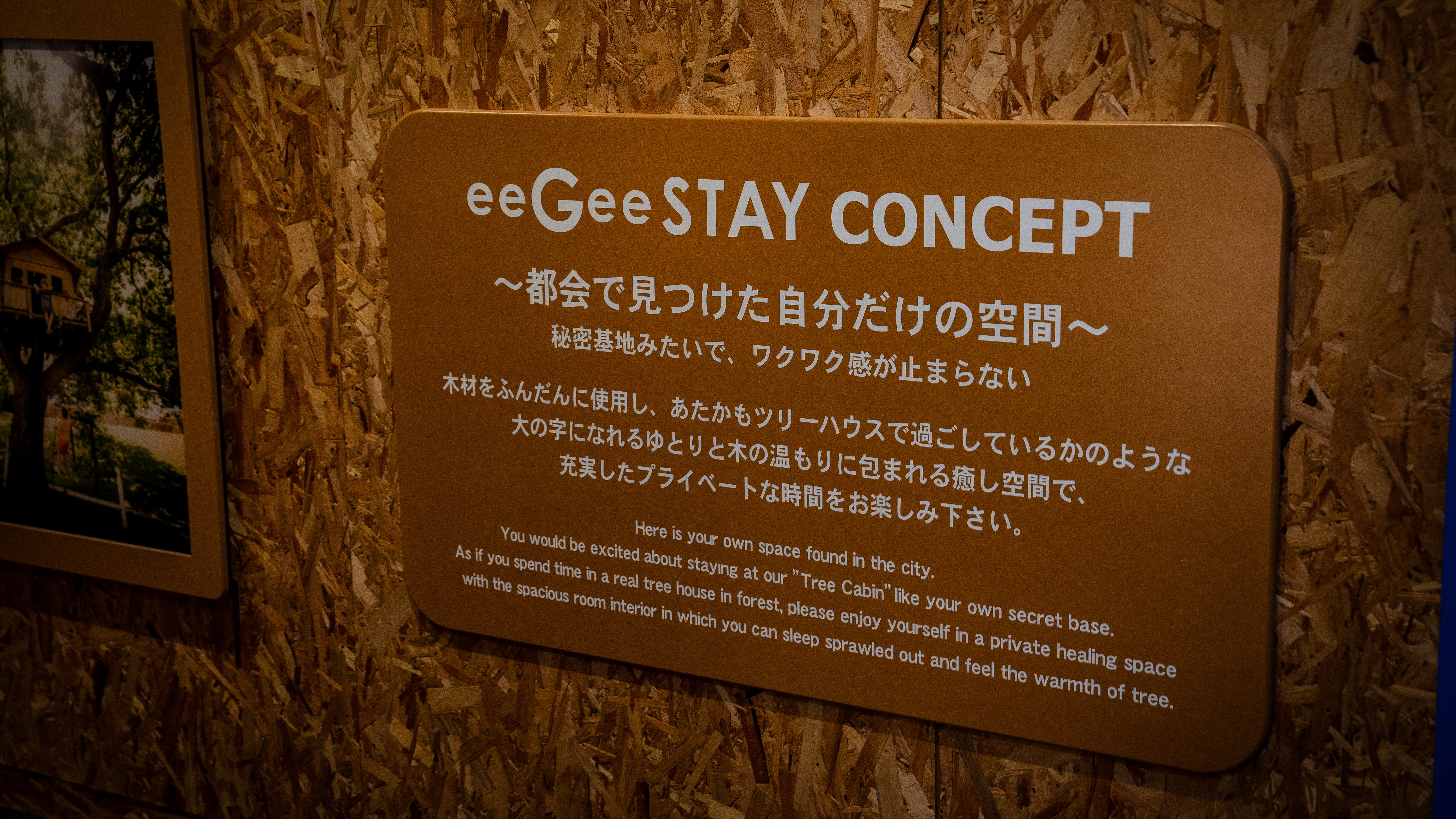eeGee STAYコンセプト