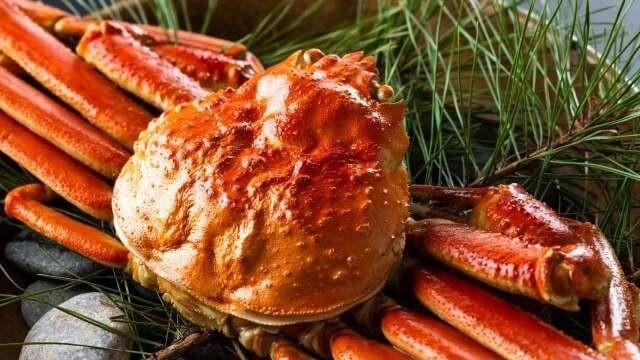 【500食限定】冬の贅沢ご褒美！大ぶり500gズワイガニ＆安曇野の恵みを味わう彩り会席
