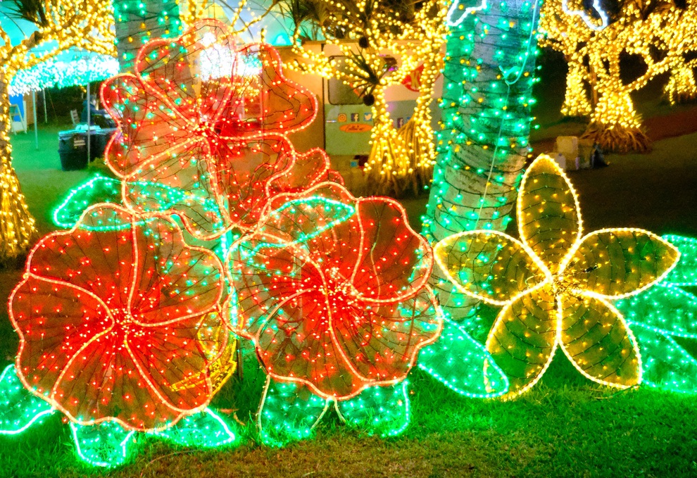 【東南植物楽園】☆★南国イルミネーション入園チケット付き★☆【素泊り】