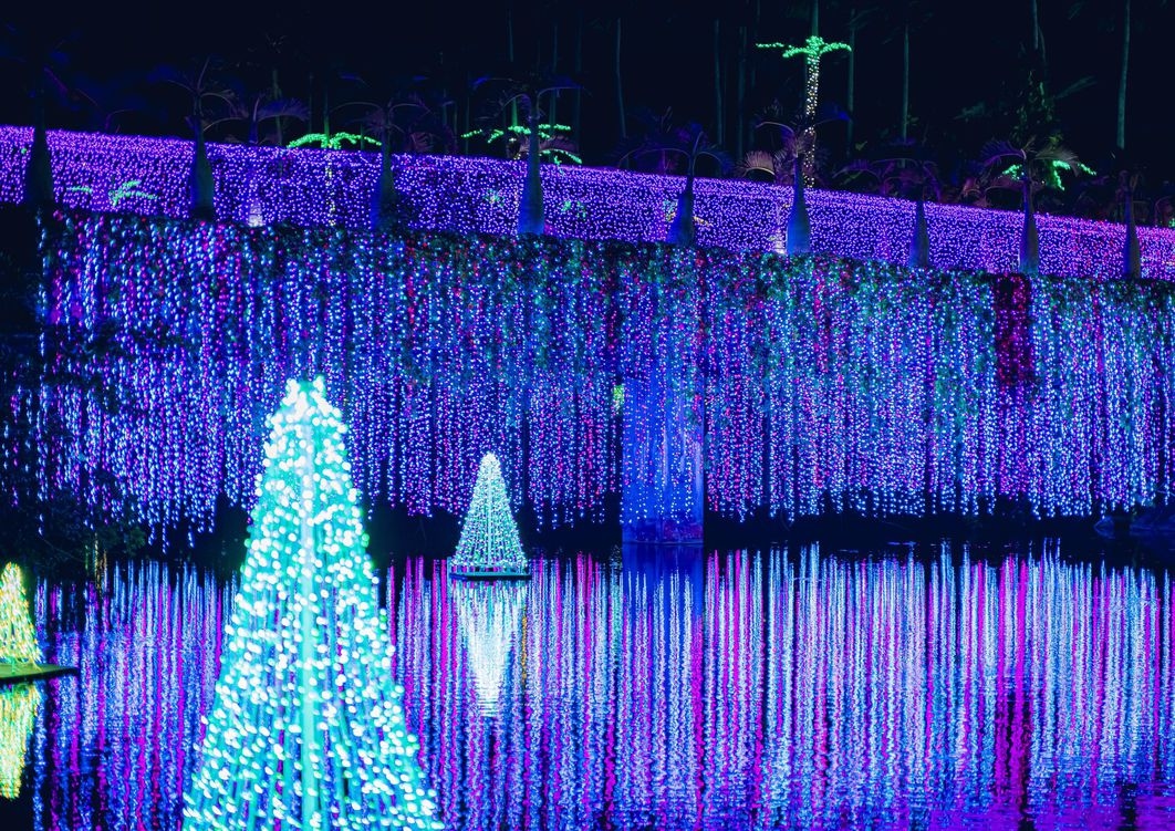 【東南植物楽園】【イベント期間】☆★南国イルミネーション入園チケット付き★☆（素泊まり）