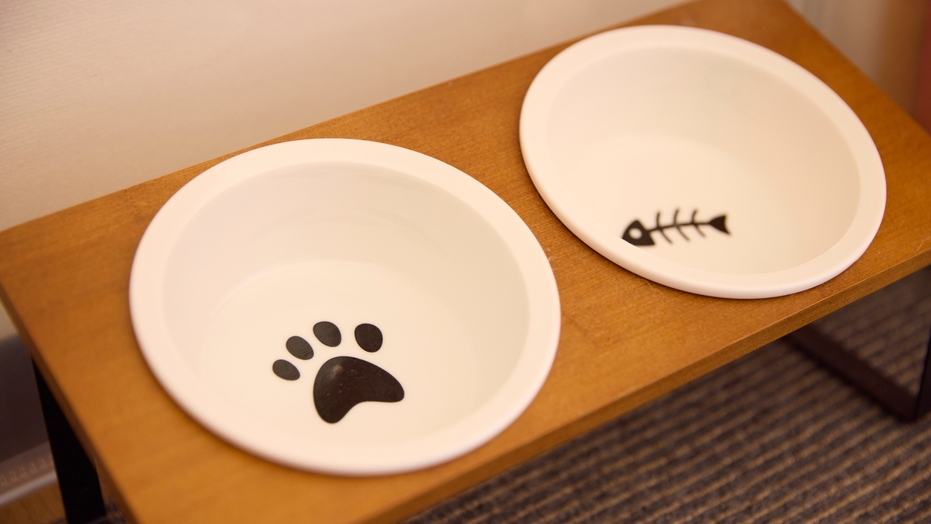 【大好きな家族とともに】沖縄で愛犬・愛猫と過ごすペットフレンドリープラン【素泊り】