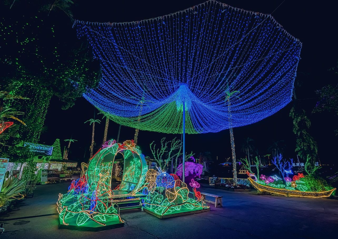 【東南植物楽園】【イベント期間】☆★南国イルミネーション入園チケット付き★☆（素泊まり）