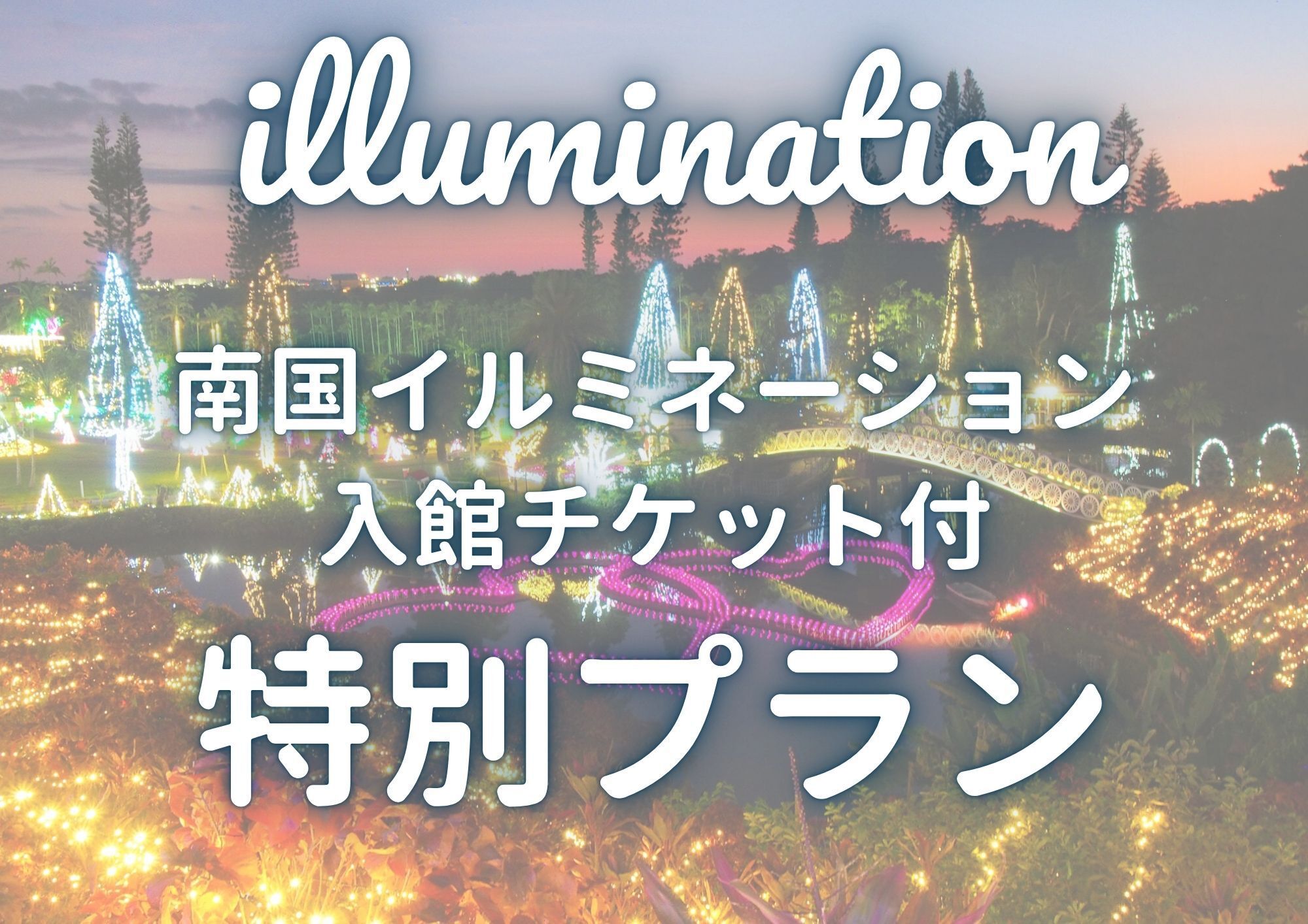 【東南植物楽園】☆★南国イルミネーション入園チケット付き★☆（素泊まり）