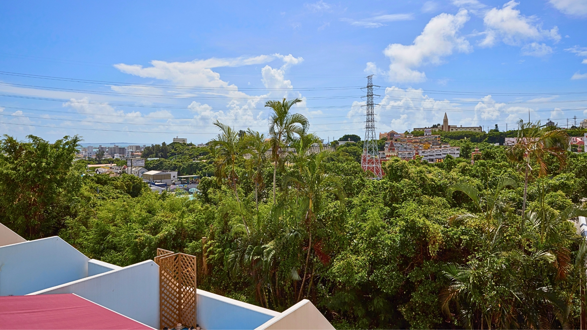 客室からの眺望