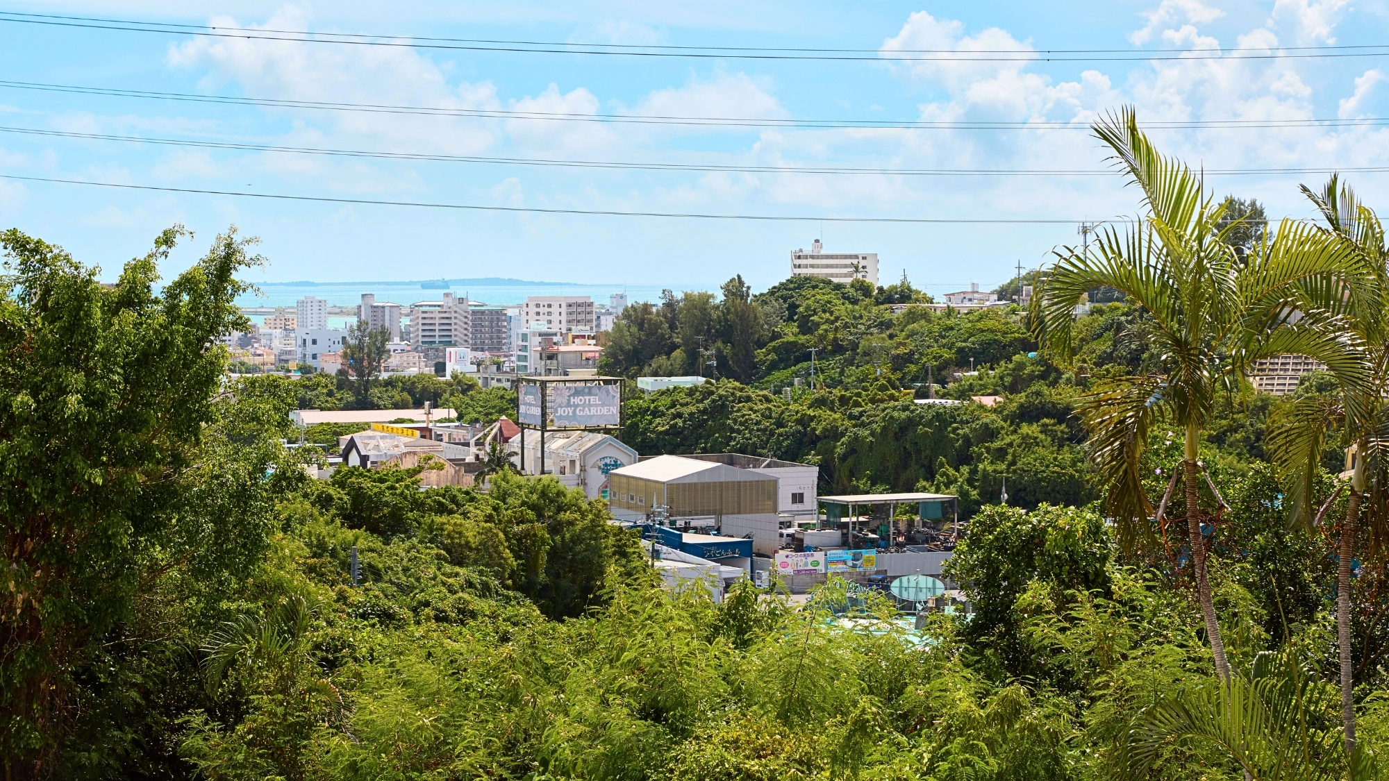 ロビーからの眺望