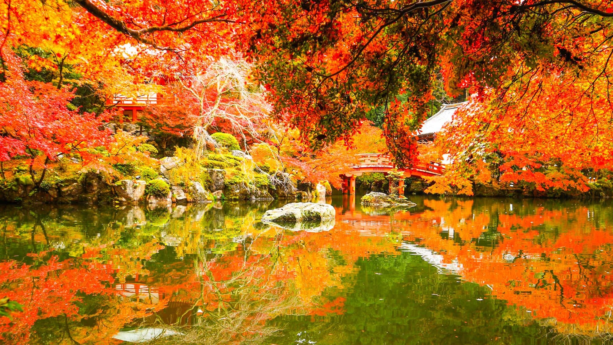 【お日にち限定！直前プラン】10％OFF！旅程があえばお得に京都旅を満喫！（素泊り）