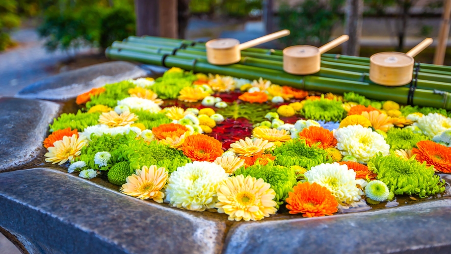 京都屈指の紅葉名所【光明寺(こうみょうじ)】