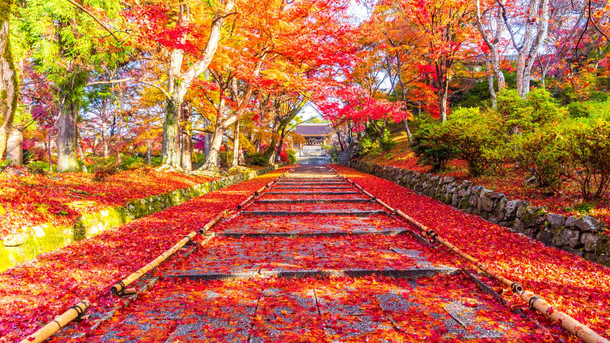 天台宗の寺院、毘沙門堂(びしゃもんどう)の紅葉