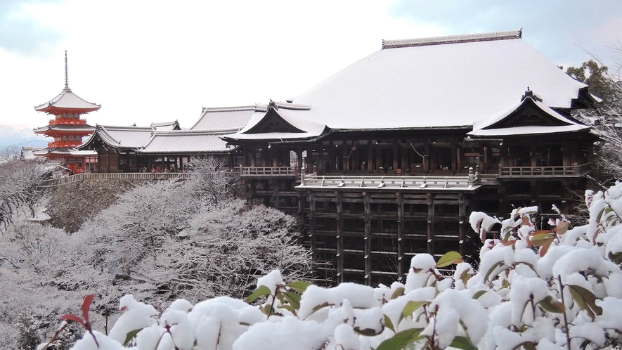 【清水寺】雪化粧