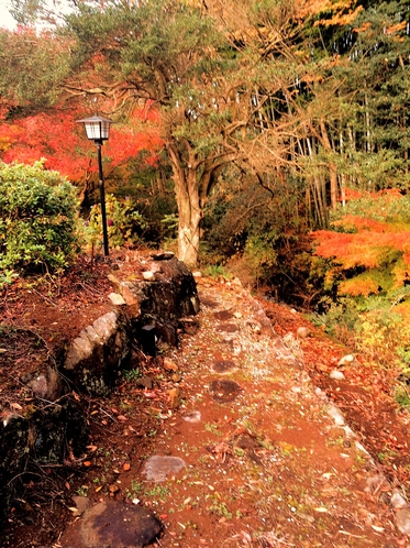 川沿いの散策エリア