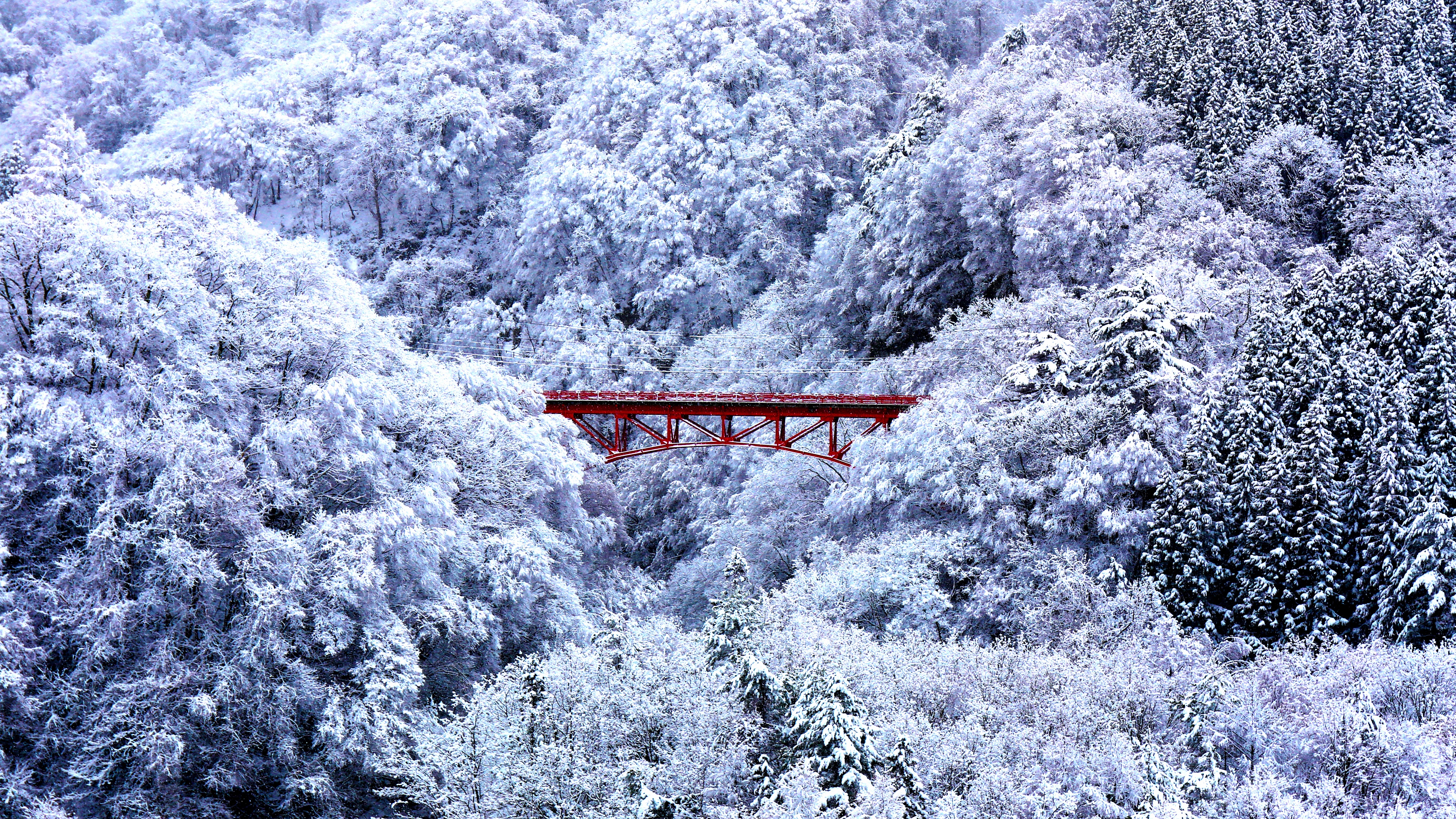 ■白銀に赤が映える高井橋