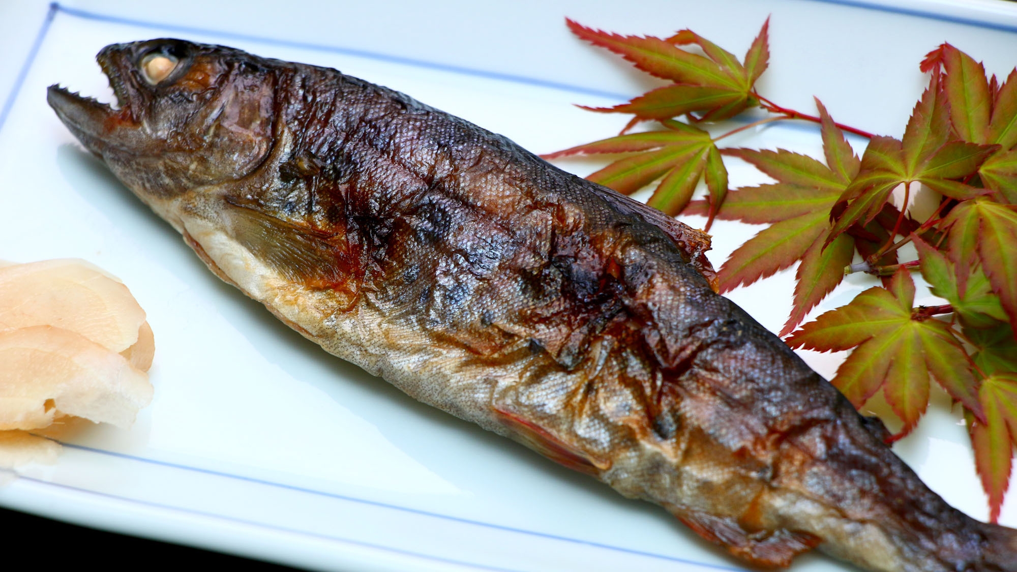 【すたんだーど☆１泊２食】古民家で田舎暮らしとお食事をゆっくり楽しんで過ごしてはいよ〜♪