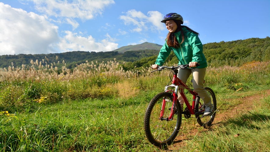 レンタルバイクでニセコの爽やかな森をサイクリングしませんか？