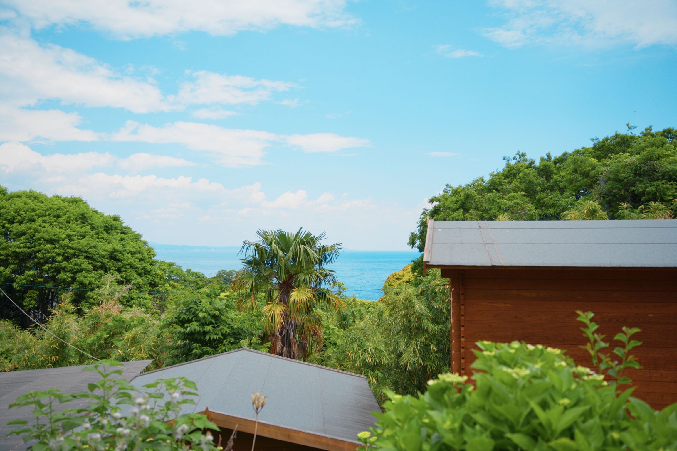 【夏限定10％OFF＋みかんジュース付】海風涼み！真鶴で過ごす避暑プラン