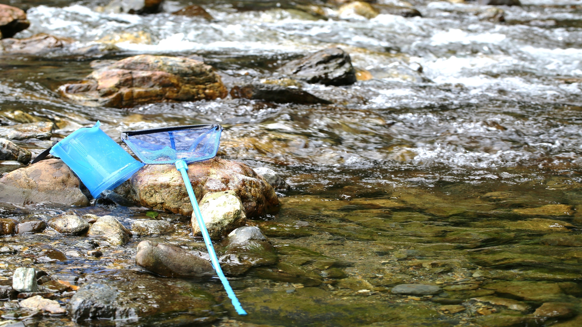 *夏の川遊びスポットお教えします！