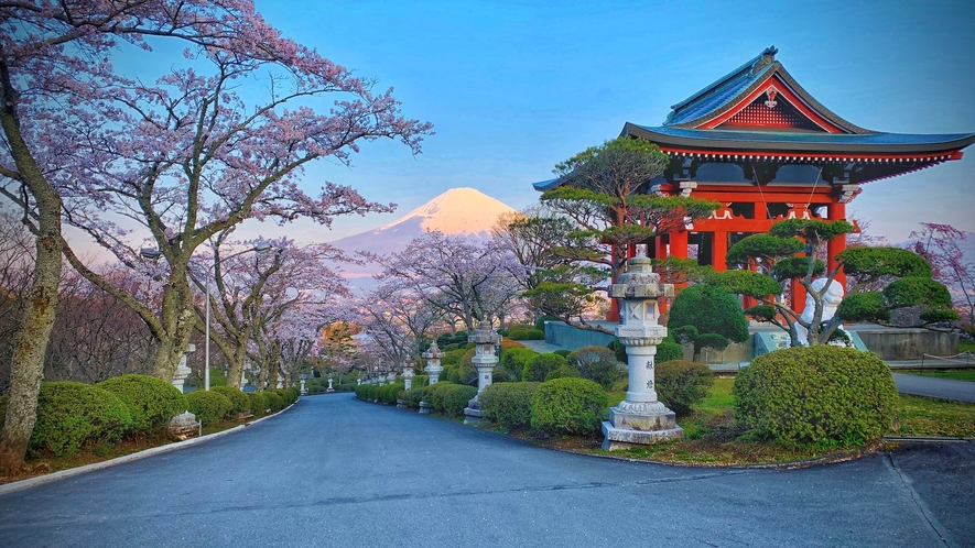 【観光情報】富士仏舎利塔平和公園