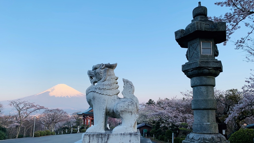 【観光情報】富士仏舎利塔平和公園