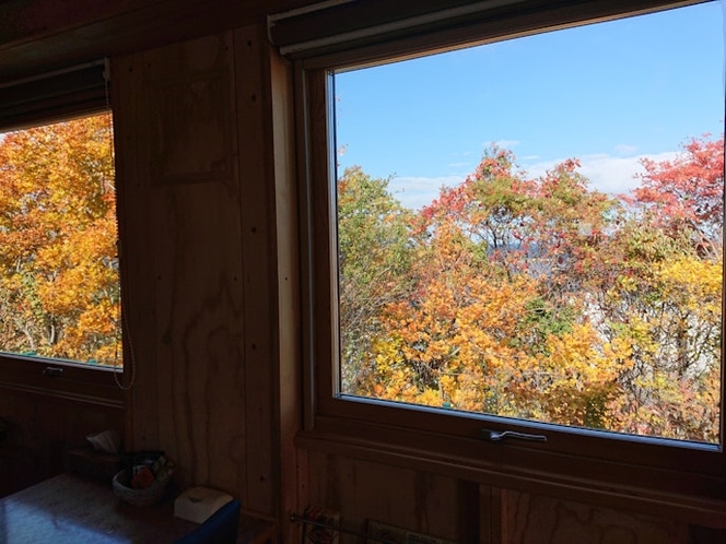 紅葉が散りはじめて、木立のすき間から海が見えてきました