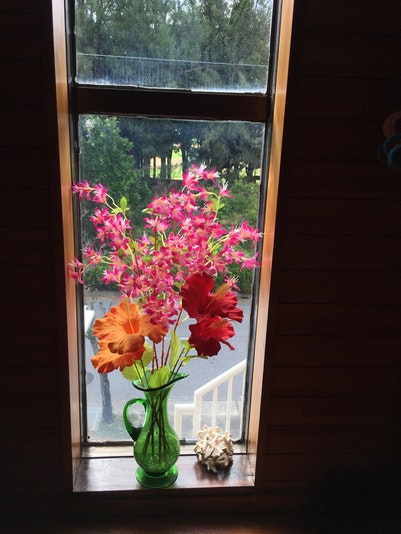 窓の向こうは公園