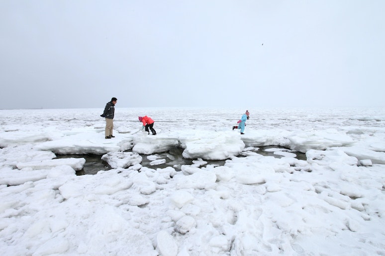 流氷(りゅうひょう、英: drift-ice 、driftice )とは、水面を漂流する氷のこと。定