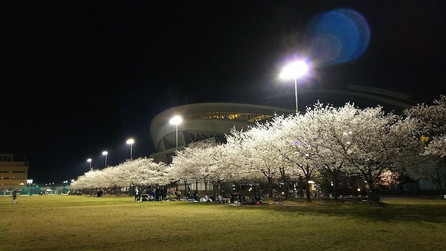 ヴィッセル神戸本拠地のノエビアスタジアム神戸まで徒歩5分、芝生広場は子供も犬も走り回れます。春は桜が
