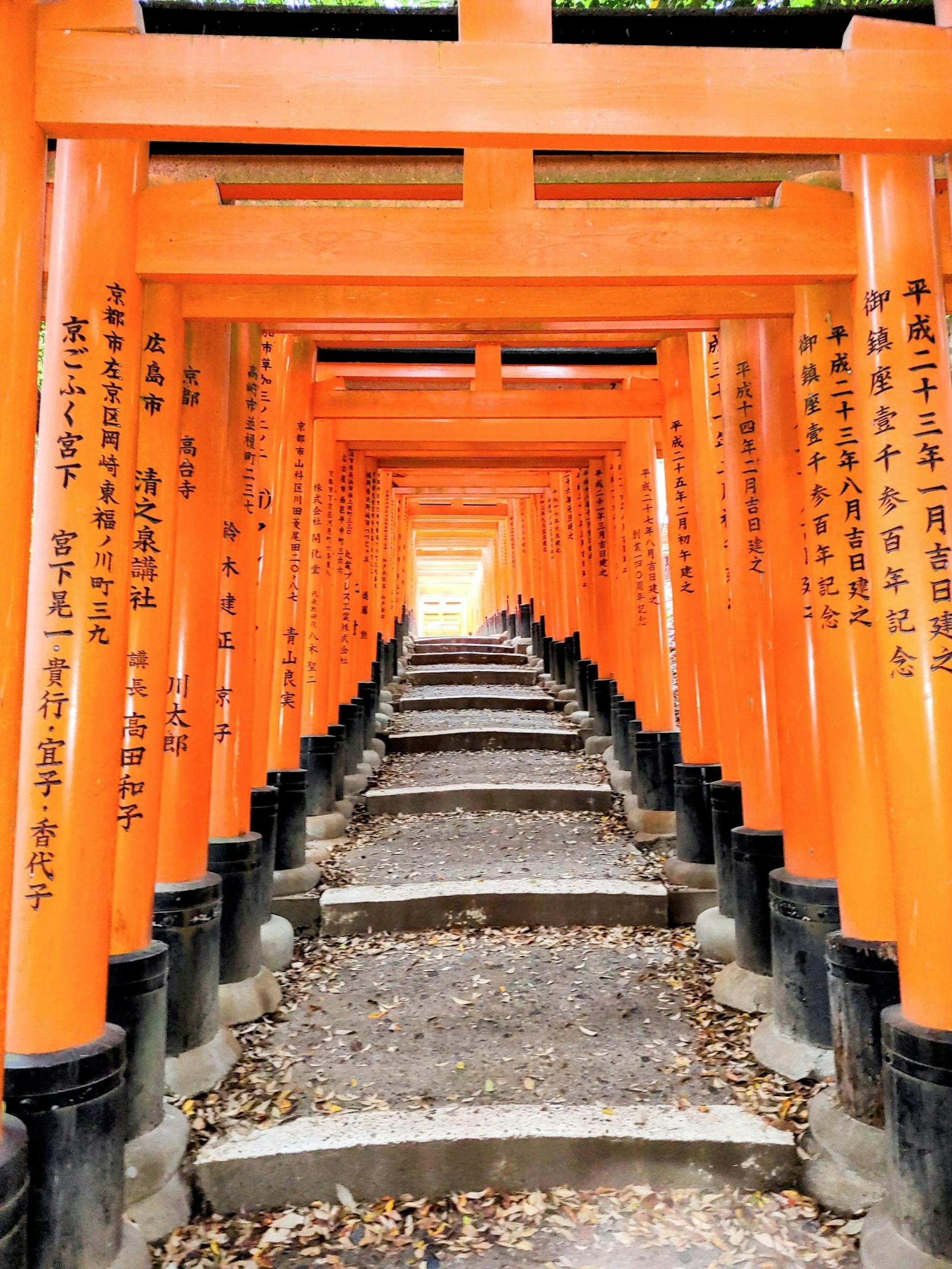 千本鳥居迄徒歩20分位で行けます。