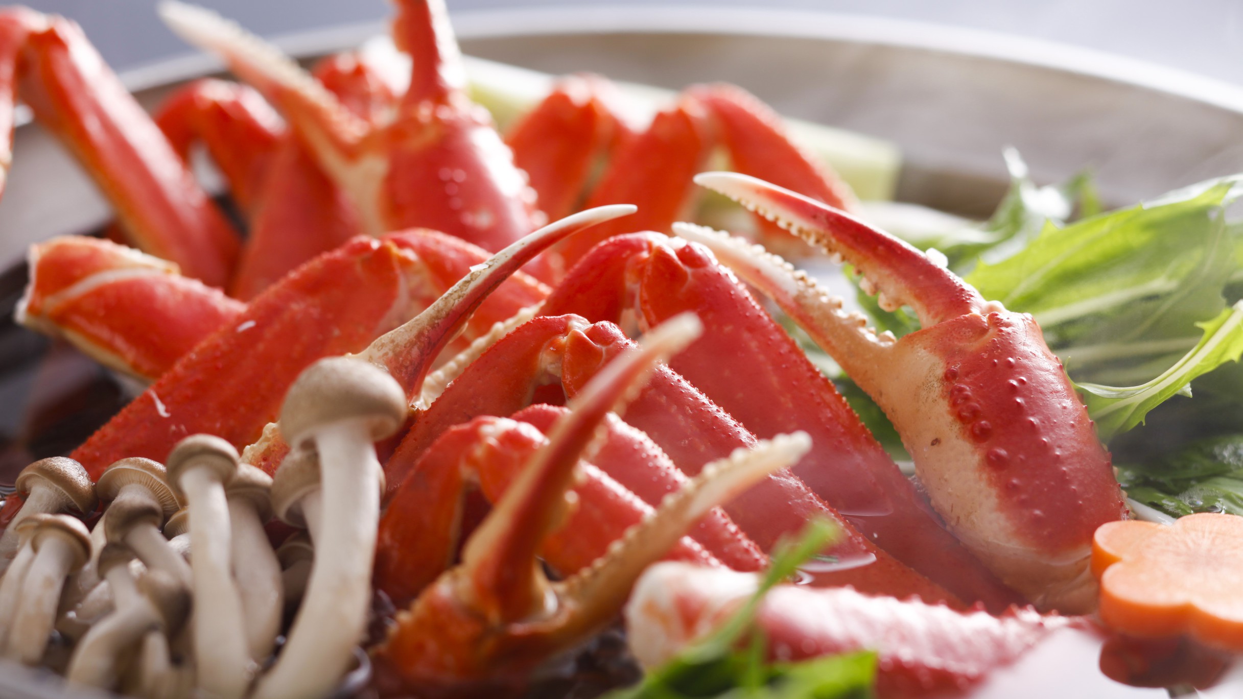 【学生さん限定】みんなでわいわい♪蟹すき大鍋で北陸の四季を感じる蟹パーティー♪