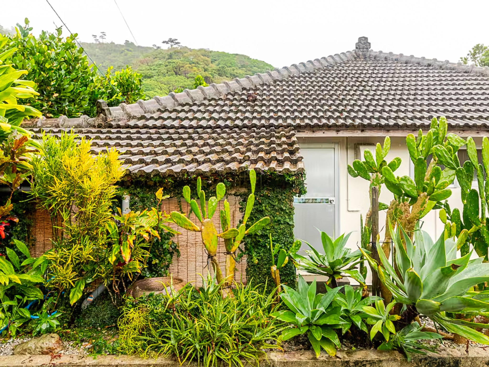 ・【外観】1日1組限定。築約100年の琉球古民家で海や山など自然に囲まれながら沖縄ステイが楽しめます