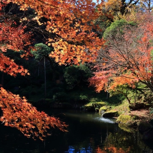 成田山公園では四季折々の自然を楽しめます。