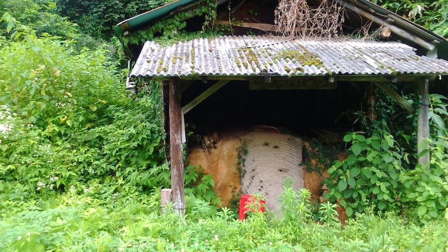 左手に炭焼き小屋。年2回焼いてます。