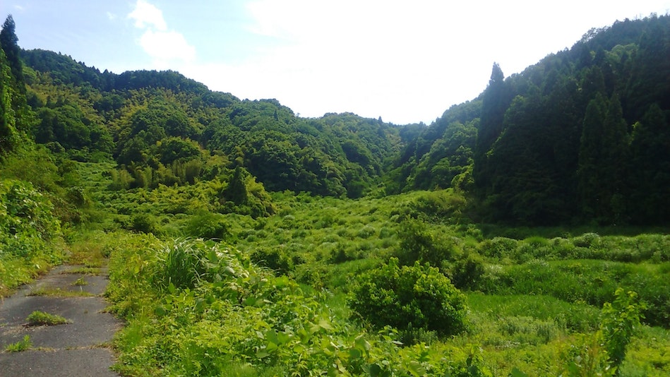 集落の一番奥。道の先には民家のない本物の田舎道