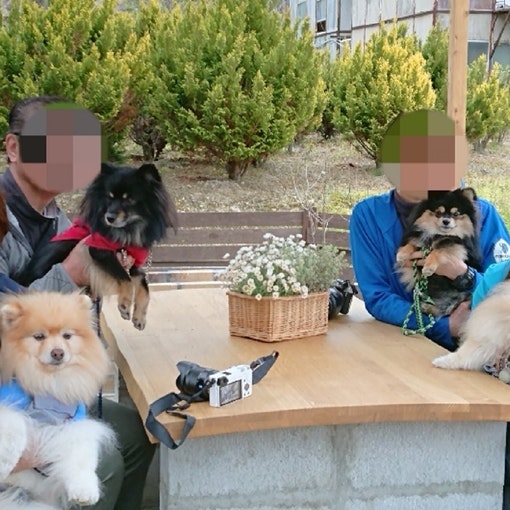 わんちゃんとご宿泊