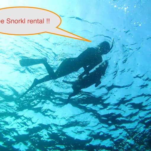 シュノーケルのレンタル無料／Free Snorkel rental