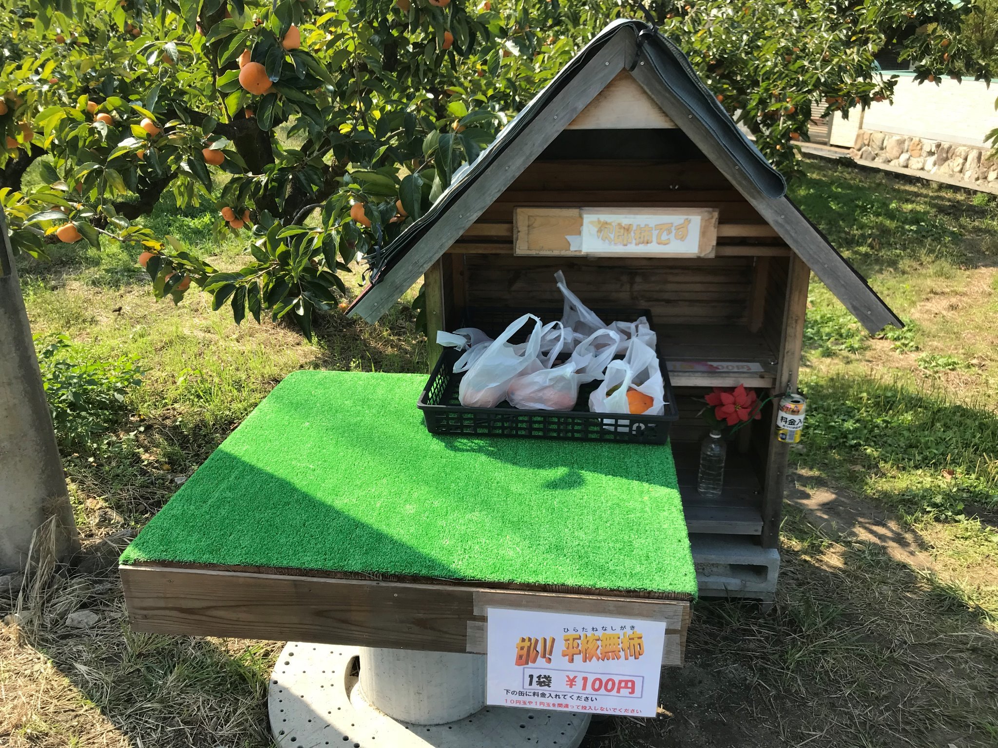 無人柿売り場まで100m