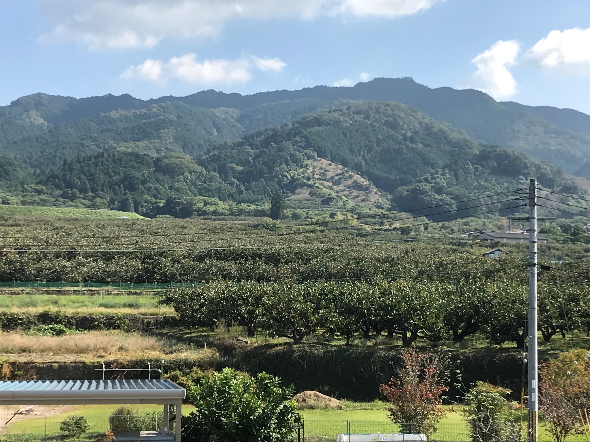 個室　紅葉からの眺め