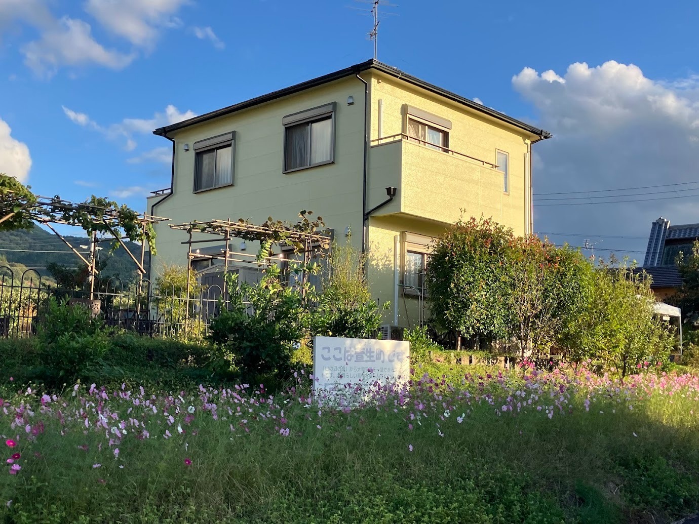 北西からの外観