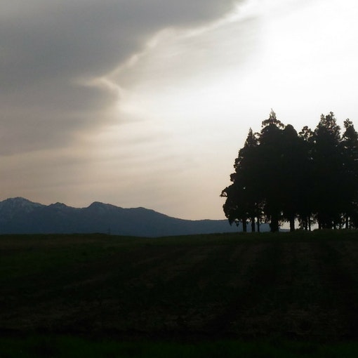 ３６０℃を見渡せる伯耆国庁跡。牧歌的な草原から伯耆富士「大山」を見ることができます。