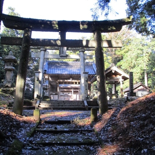 周辺は文化財や史跡も多く、お散歩には最適な場所。無人の趣きある神社の森は、トトロに会えそうな雰囲気あ