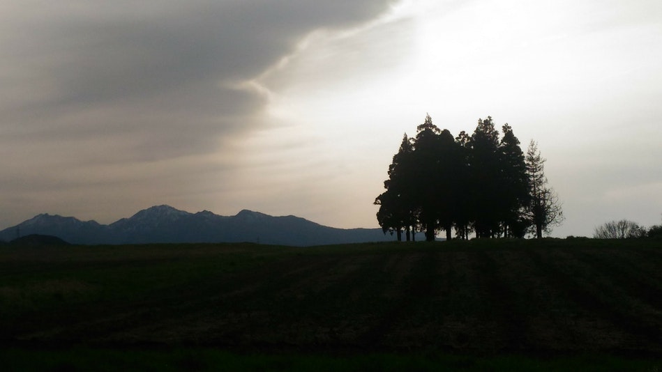 ３６０℃を見渡せる伯耆国庁跡。牧歌的な草原から伯耆富士「大山」を見ることができます。