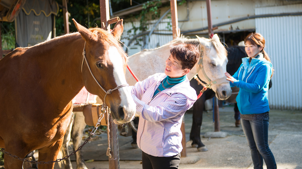 【乗馬体験】穏やかな田舎道を馬と歩く至高の癒し旅