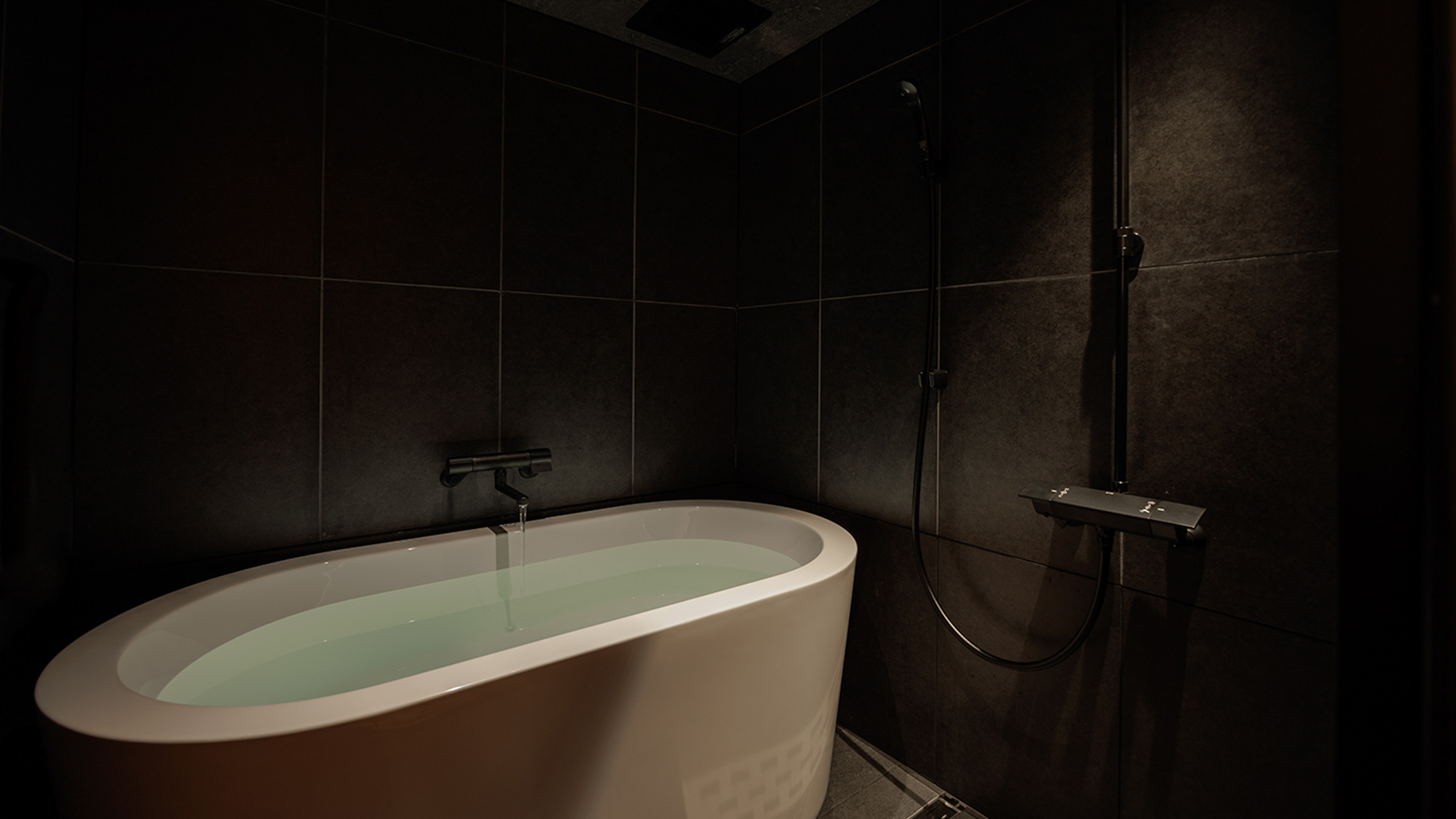 セミスイートルーム石楠花（しゃくなげ）